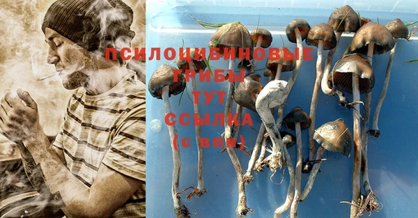 кокаин Инта