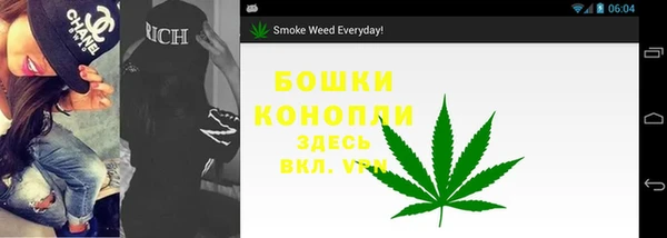 а пвп мука Инсар