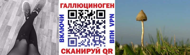 Галлюциногенные грибы мицелий  Купить закладки  Западная Двина 